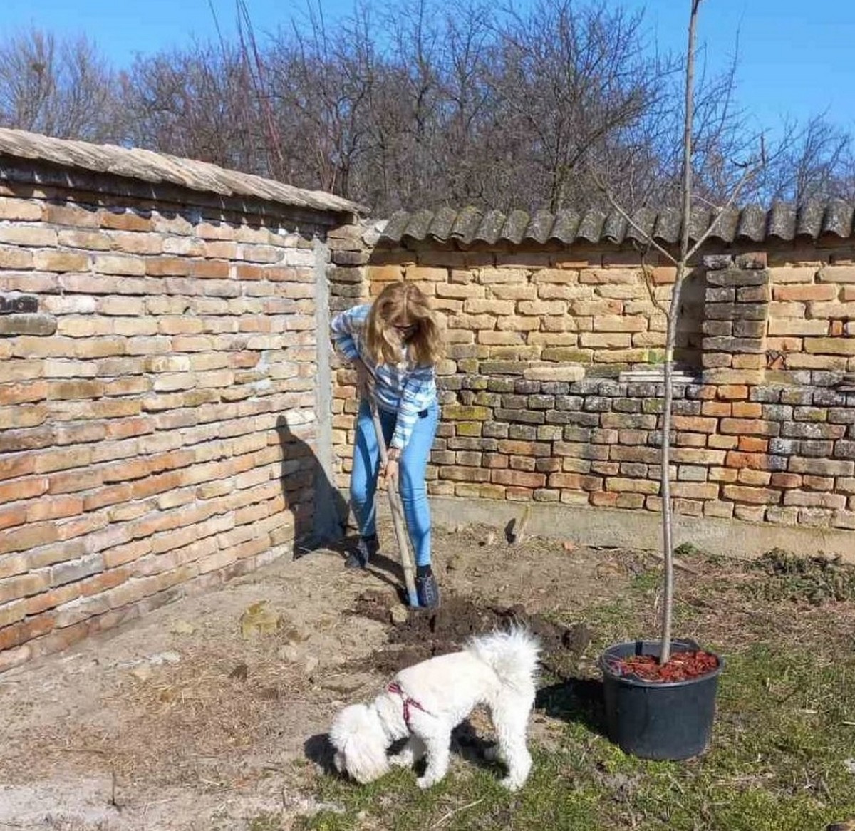 Poznata Beograđanka kuću na selu platila 29.000 evra i napravila raj na zemlji: Sadi luk i paradajz, sama kosi