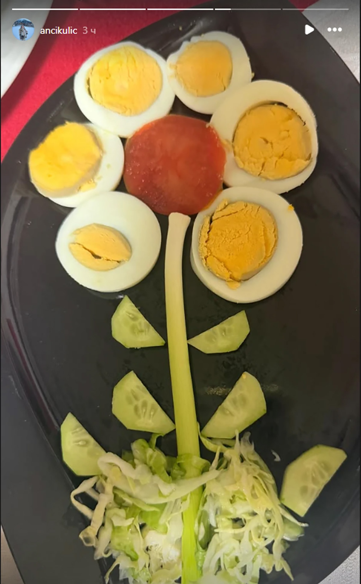 U domu Miljane Kulić slavlje: Ovo će vas rastopiti, mali Željko priredio iznenađenje tetki Ani za rođendan