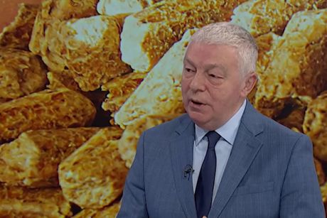 Branko Glavonjić, profesor na Šumarskom fakultetu