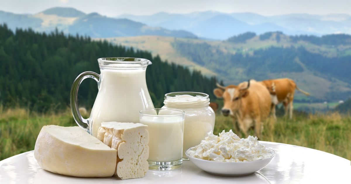 Ovo je najbolji sir na svetu, 125 godina tradicije rezultiralo svetskom titulom: Ima ocenu 98,68