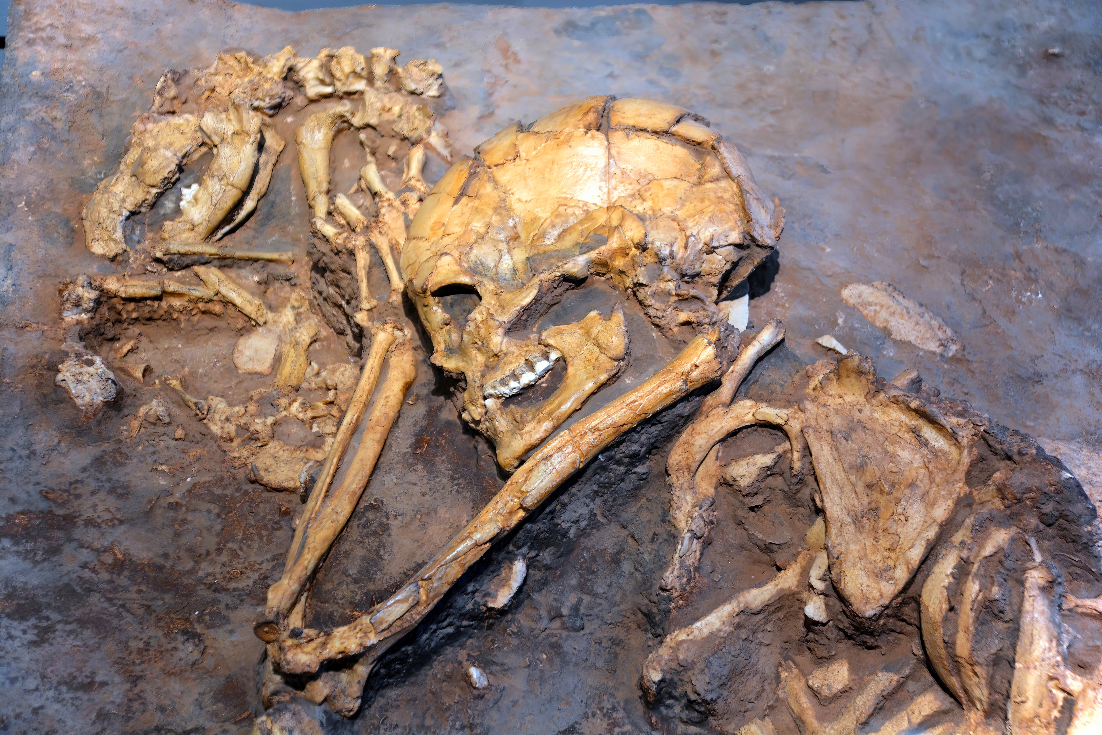 Skrivena tradicija stara 15.000 godina: Evo šta su deca pravila mnogo pre pojave grnčarstva i poljoprivrede