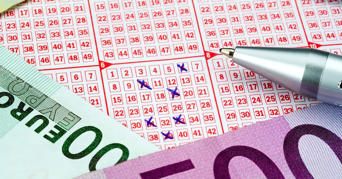 NATIONAL LOTTERY REVEALED Who is the typical participant: "Buys 8 tickets a month and wins around 60 euros"