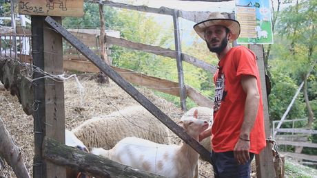 Ranč, Milovan Pavlović, Užice, Volujac