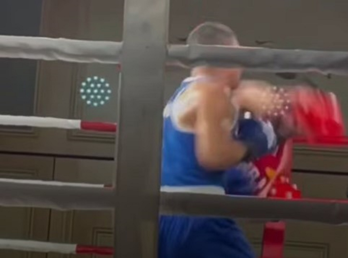 Beč video brutalan nokaut! Bugarin "patosirao" Kostića, sudija morao da prekine meč