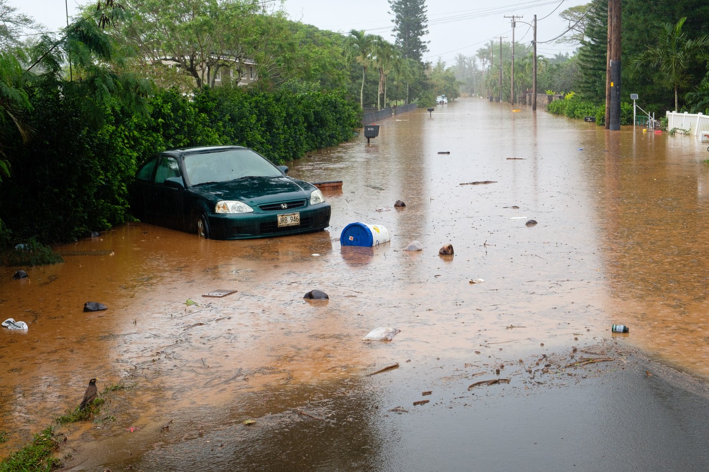 Katastrofa na Havajima: Bujice nosile sve pred sobom, spasioci na terenu