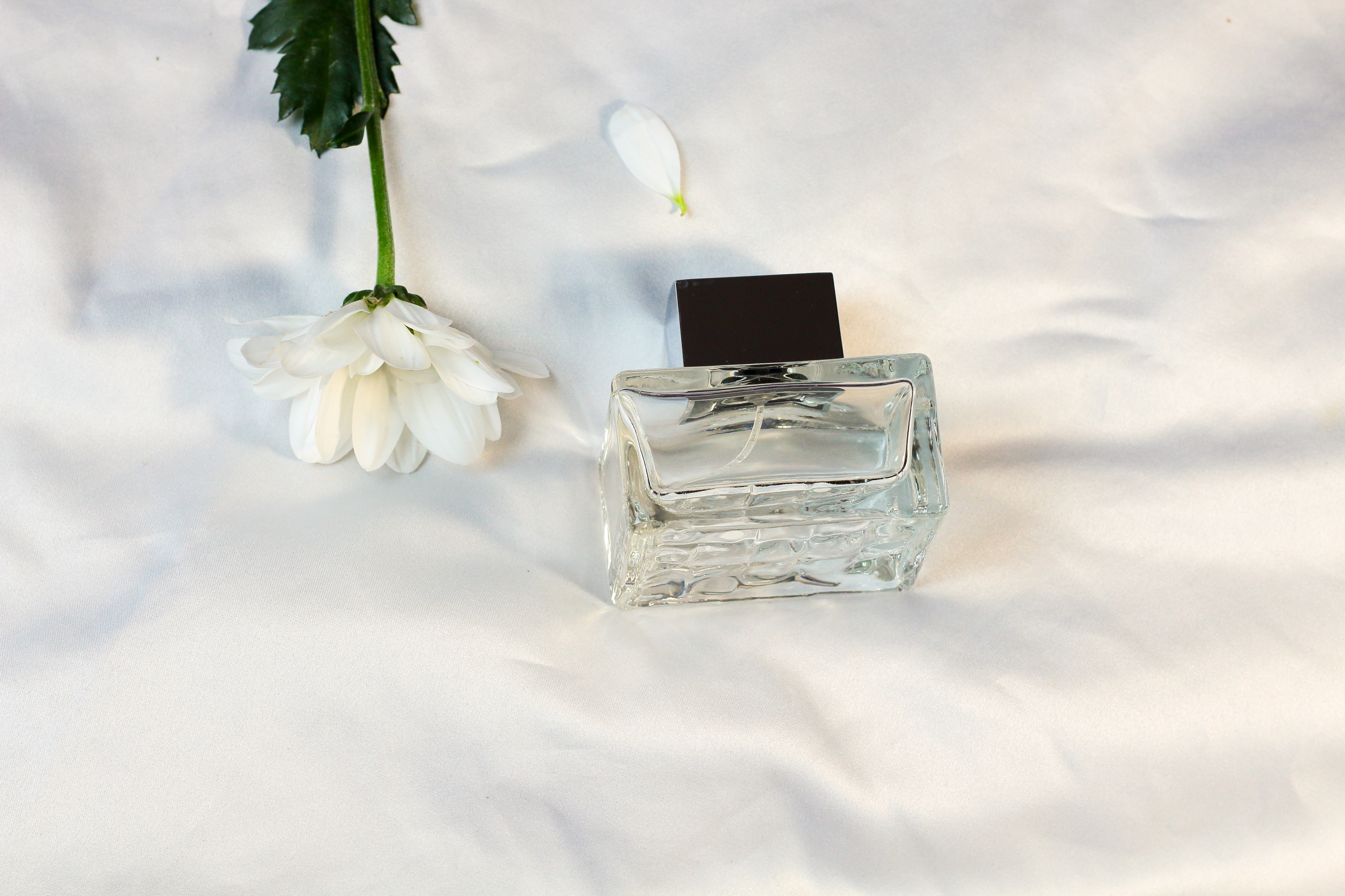 Parfemi koji mirišu kao čist veš su hit: Top 5 najboljih mirisa koji daju luksuzni efekat "svežine"