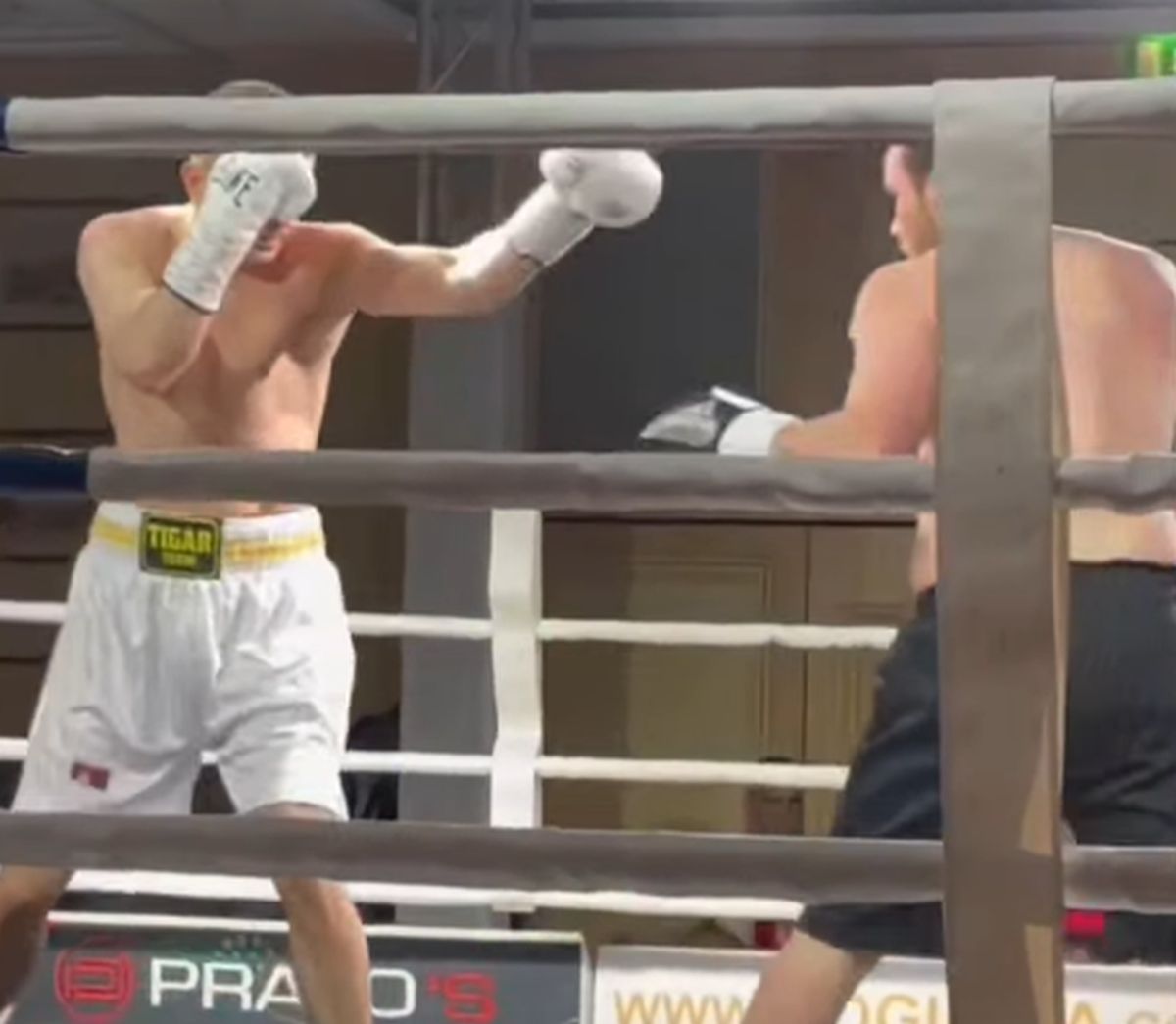 Pogledajte kako je Tigar nokautirao Gruzijca u Beču, posle ovoga Aduašvili nije više mogao