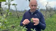 Voćari u Srbiji u velikom strahu! Stigla najava, šire ruke i mole se samo da se OVO ne ponovi