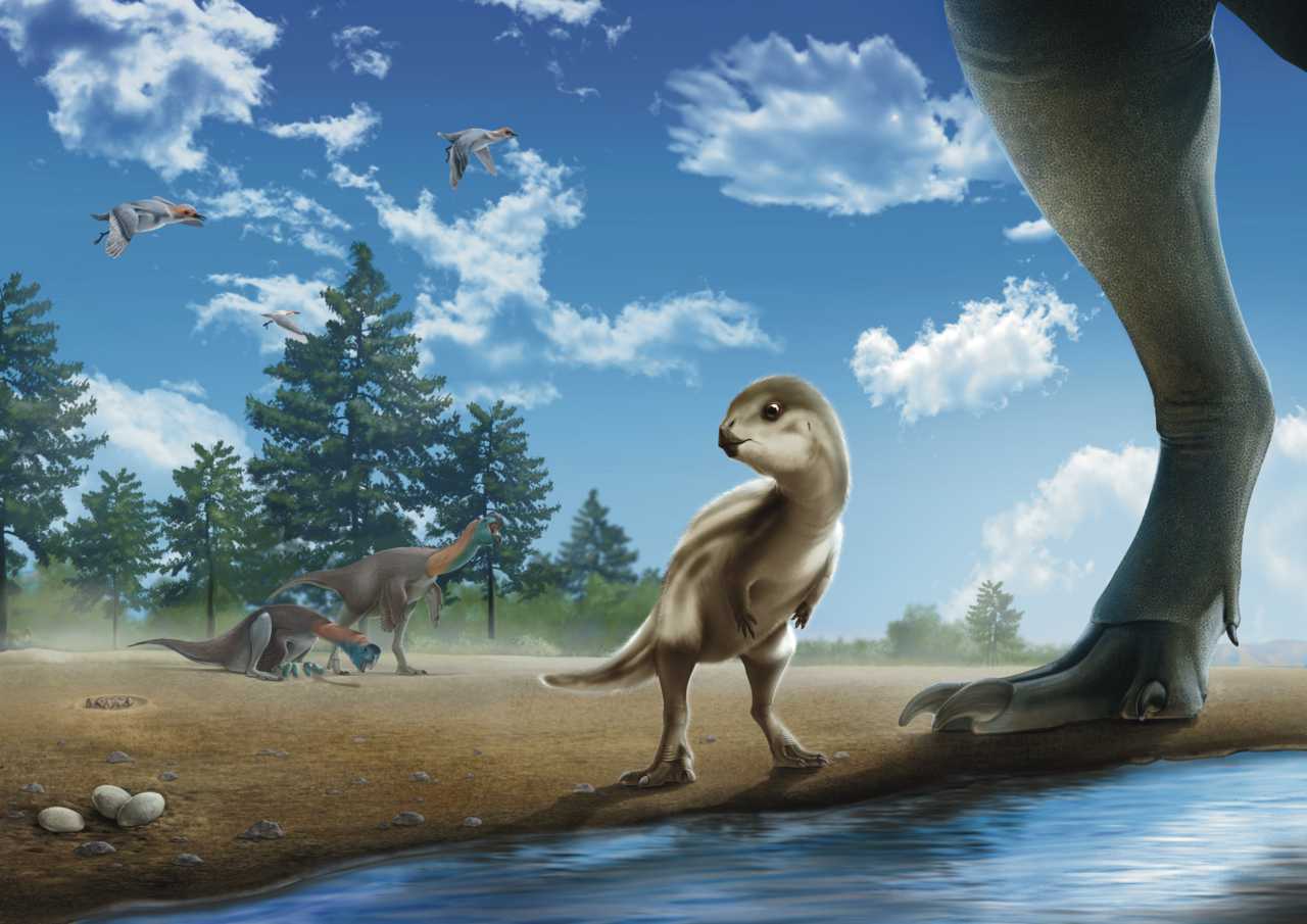 Rendgen fosila otkriva novu vrstu dinosaurusa nazvanu po čuvenom korejskom crtanom filmu