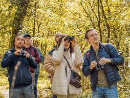 priroda, posmatranje ptica, ptice, šuma