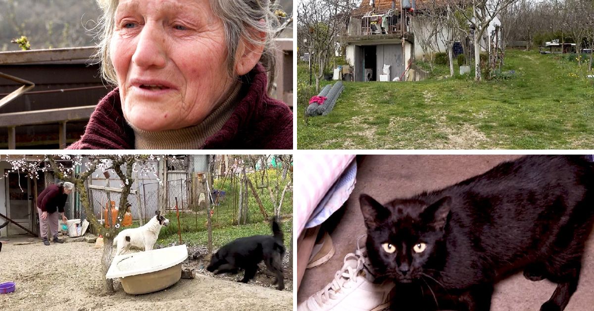 Baka iz Grocke spasila stotine životinja, a onda je izbio požar: Čula je vrisku, pa shvatila da GORI SA NJIMA