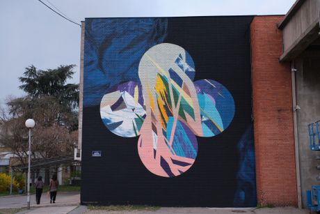 Novi mural na ulicama Beograda, poklon Beogradskog irskog festivala