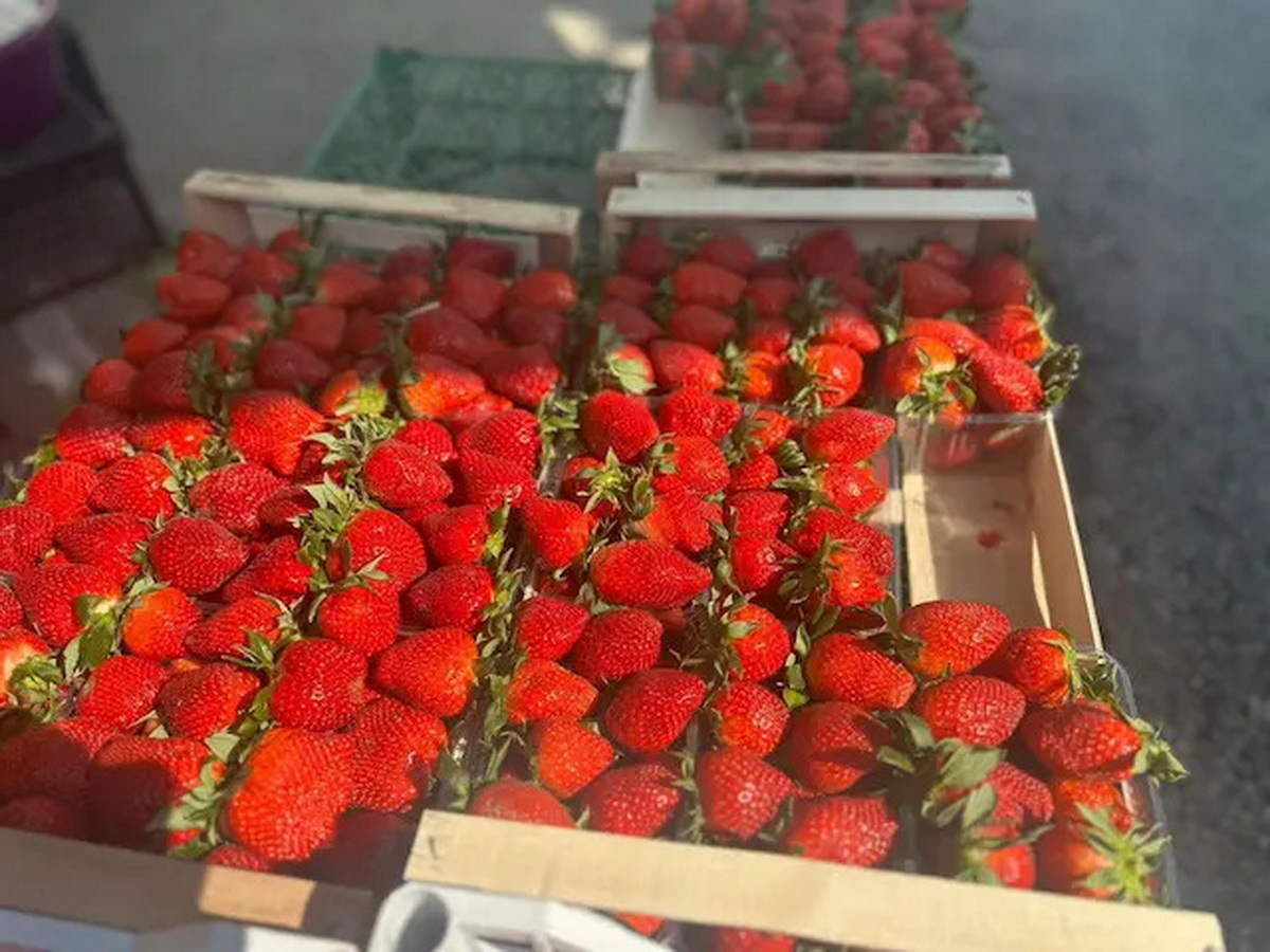 Koliko dinara za 600 grama jagoda? Ovo su cene na zelenoj pijaci u srpskom gradu