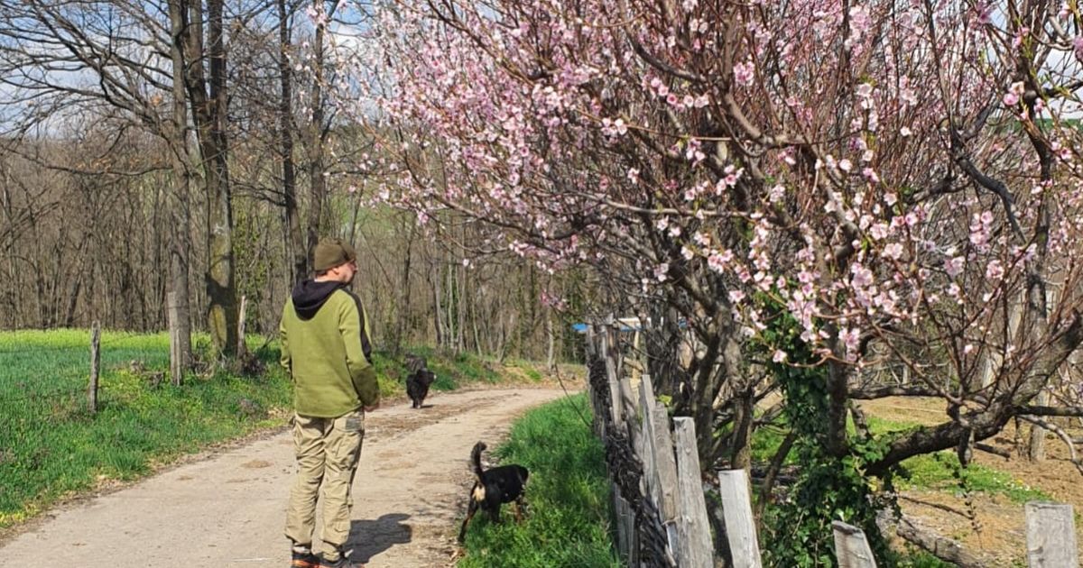 Glumac razvio biznis u selu kod Valjeva, preselio se, sad pokazao raj koji poseduje: Prizor kao sa razglednice