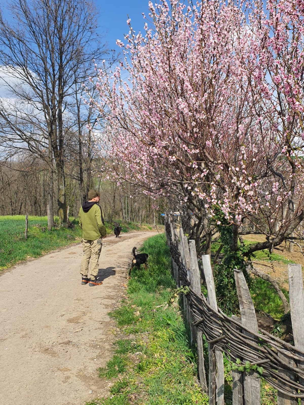 Glumac razvio biznis u selu kod Valjeva, preselio se, sad pokazao raj koji poseduje: Prizor kao sa razglednice