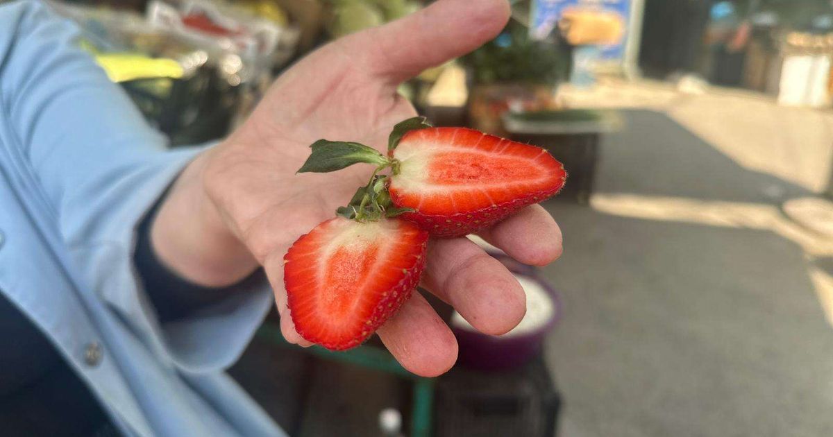 Brzi kolač sa jagodama i pudingom koji uspeva svima: Bez pečenja i bez greške