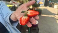 Brzi kolač sa jagodama i pudingom koji uspeva svima: Bez pečenja i bez greške