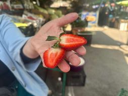 Čačak, jagode na pijaci