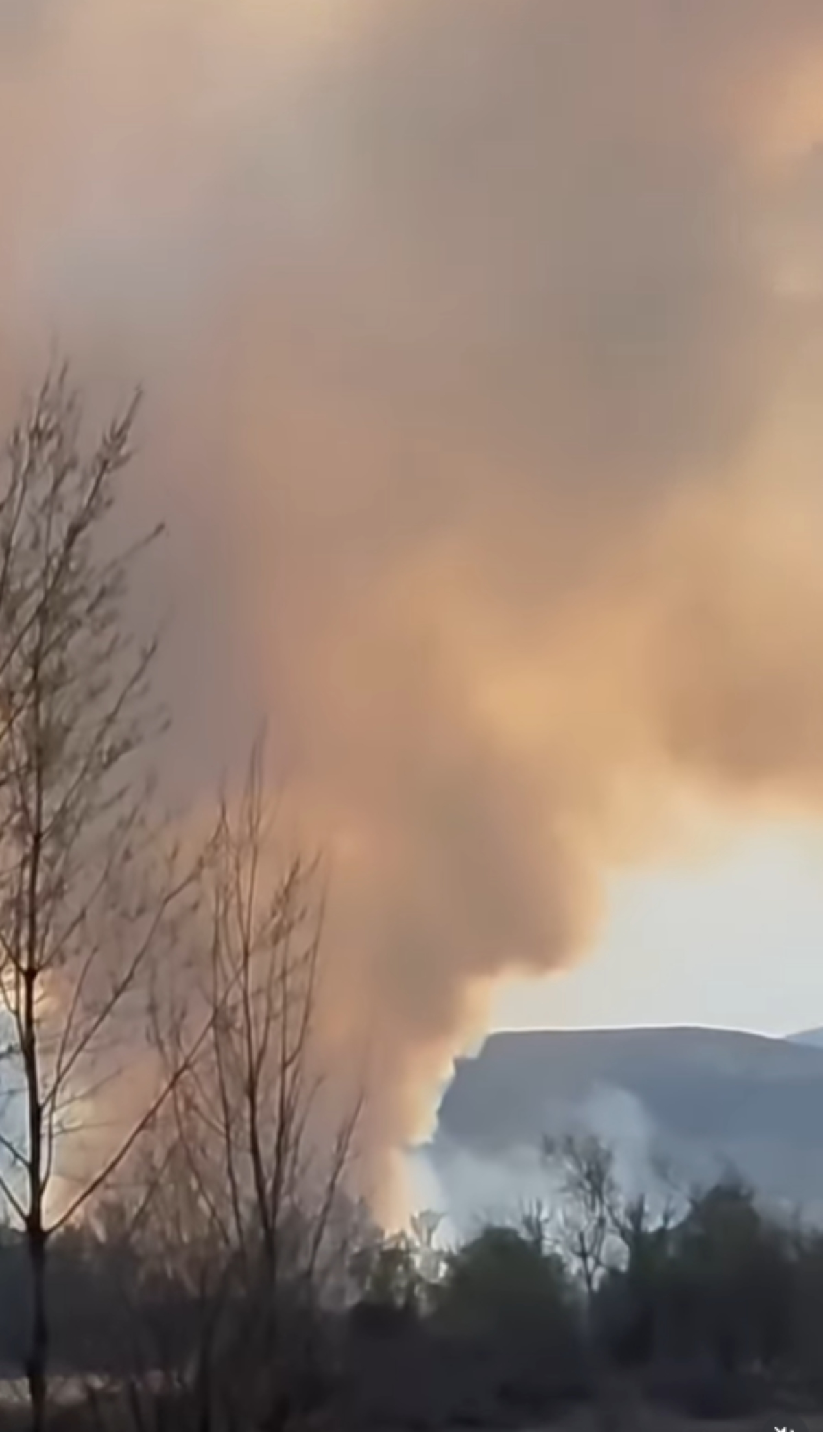 Vatrena stihija pravi haos kod Beočina! Dim kulja na sve strane, ne vidi se prst pred okom