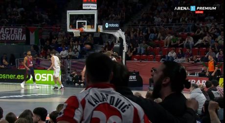 Navijač, KK Crvena zvezda, Nenad Lalatović