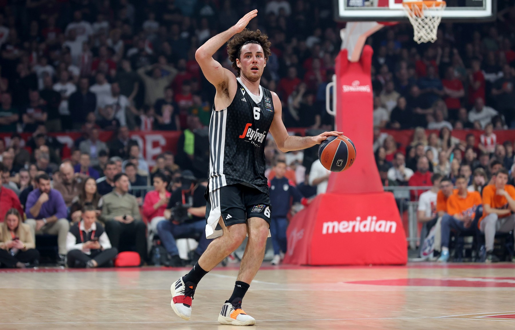 Italijani pišu: Zvezda ozbiljno zagrizla za kapitena Virtusa