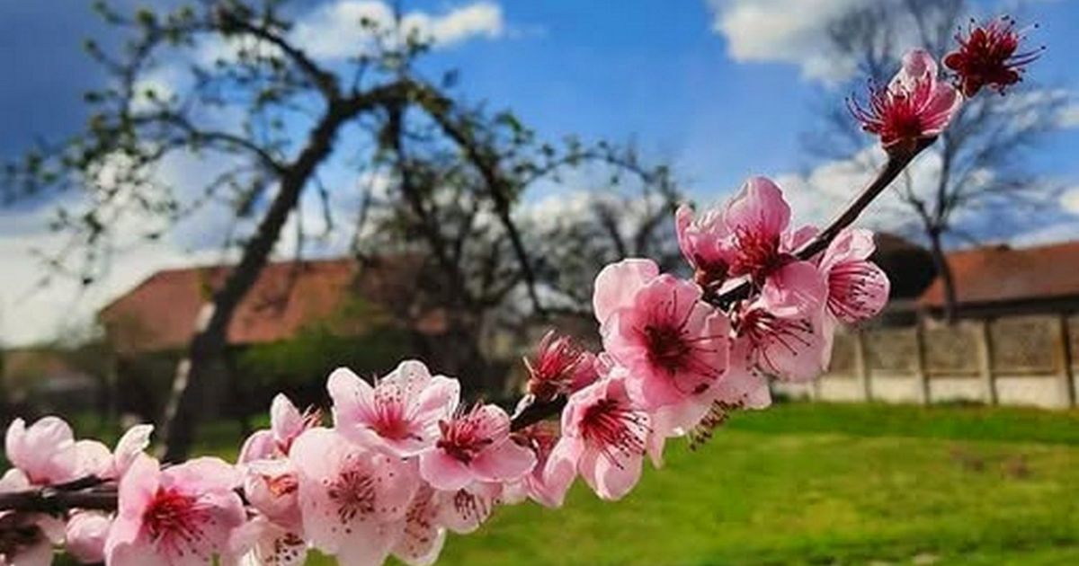 Sunce vas podiže, ali telo oseća zahlađenje koje dolazi - evo ko će najviše osetiti: Bioprognoza za 9. april