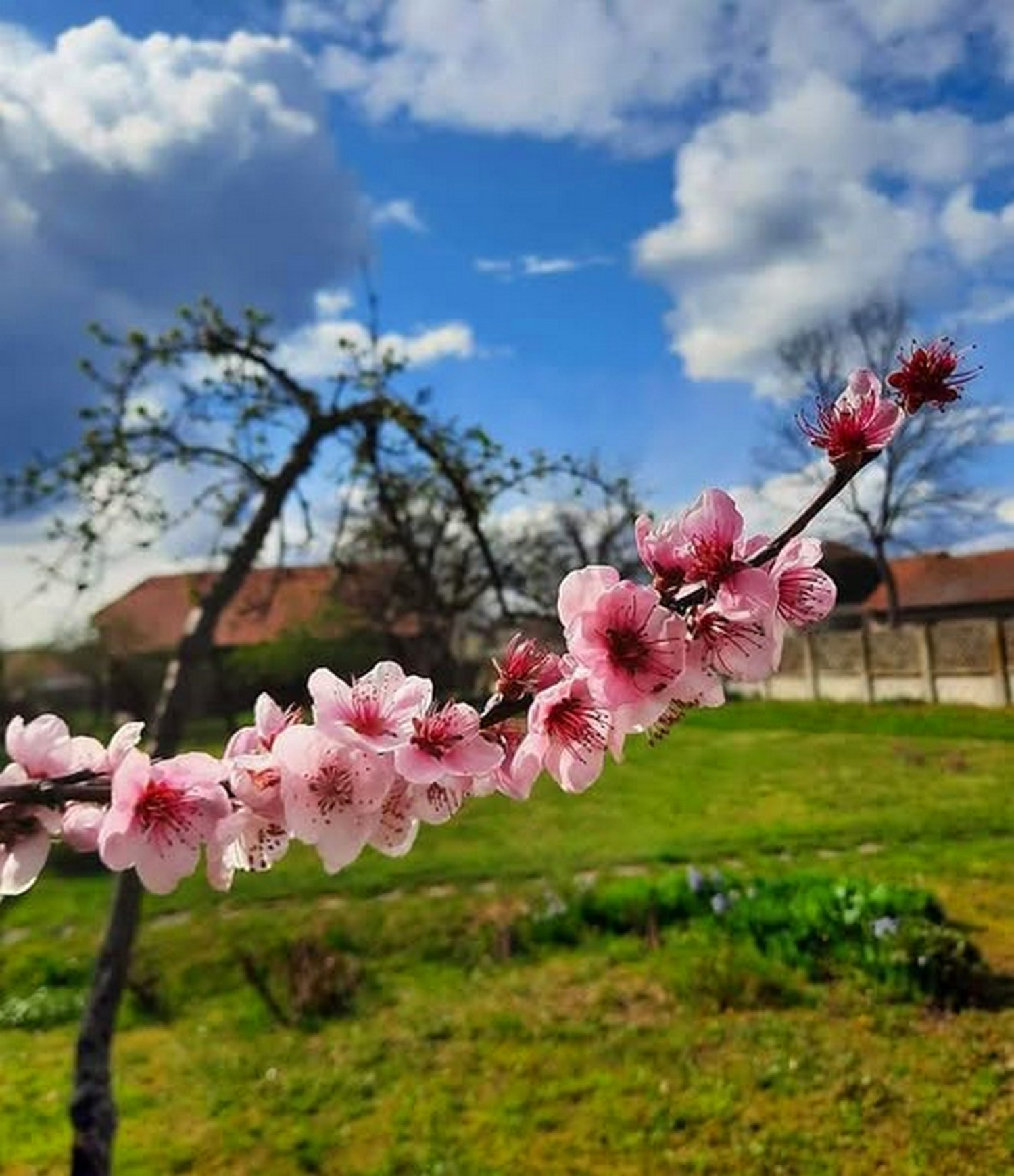 Sunce vas podiže, ali telo oseća zahlađenje koje dolazi - evo ko će najviše osetiti: Bioprognoza za 9. april
