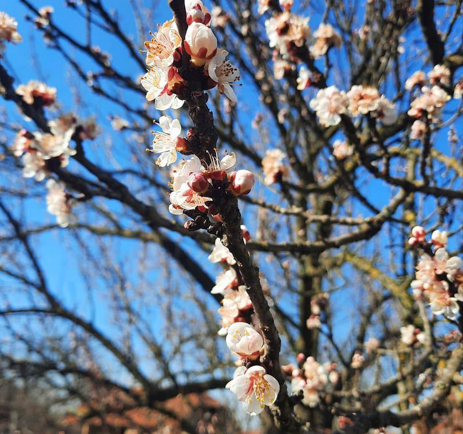Dan koji prija telu, ali traži jednu važnu meru opreza: Bioprognoza za 25. april