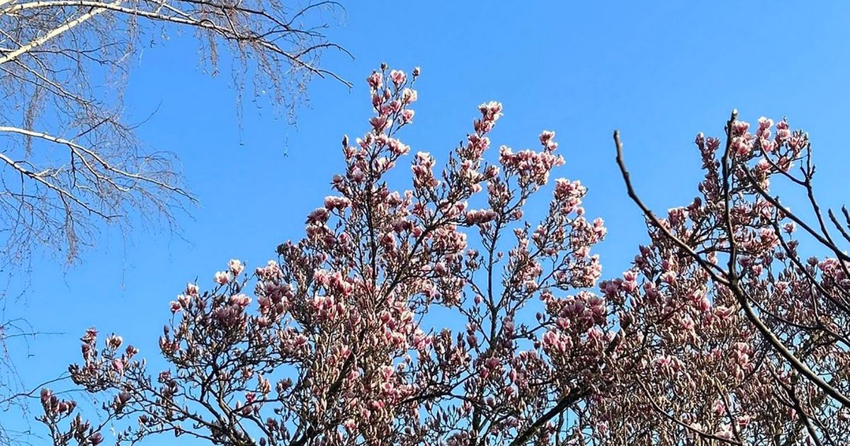 Topli dani koji su pred nama prava su prilika za upoznavanje nekih od najlepših prolećnih destinacija u Evropi