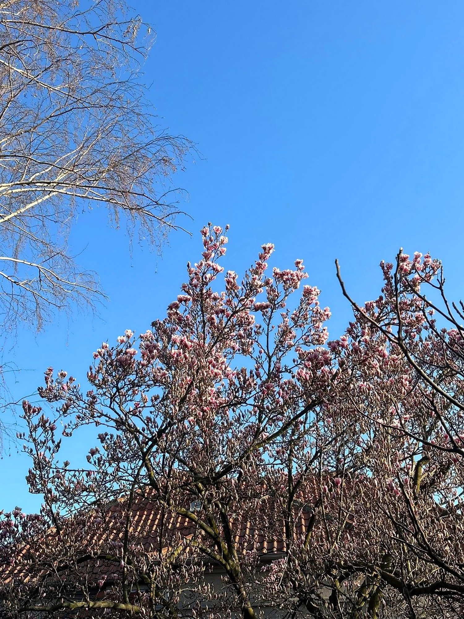 Topli dani koji su pred nama prava su prilika za upoznavanje nekih od najlepših prolećnih destinacija u Evropi
