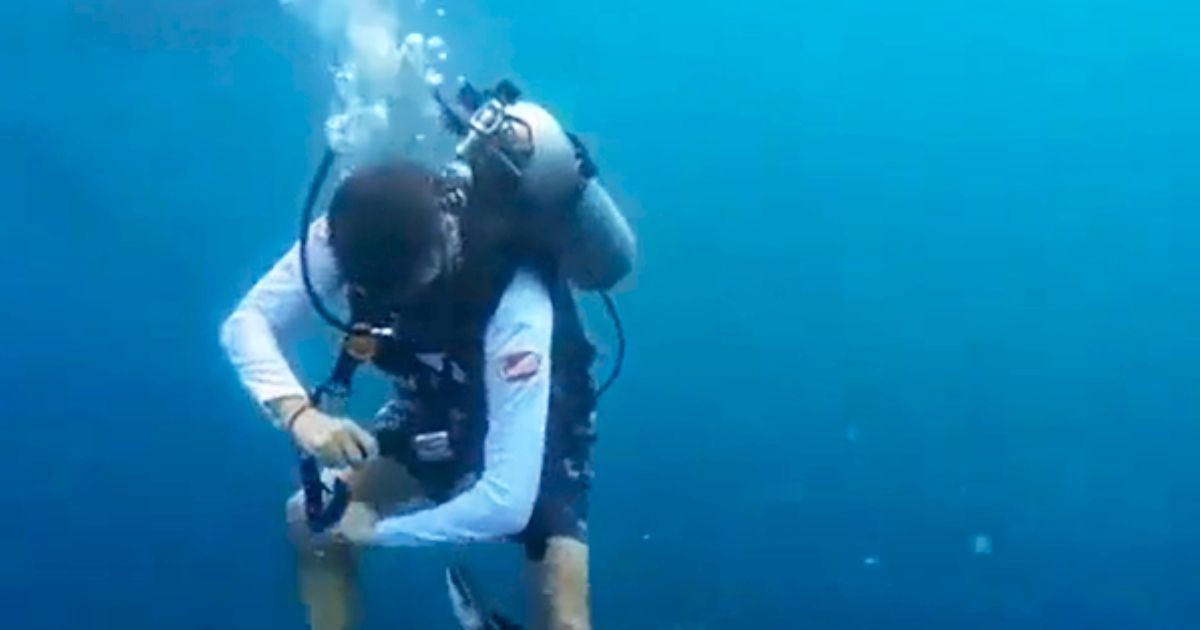 He enjoyed diving, and then a huge shadow appeared behind him: "That's why I'm afraid of the ocean!"