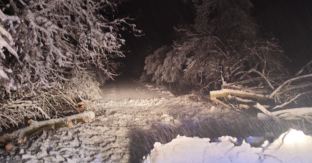 Građani Hrvatske se bore sa nezapamćenim snegom: 
