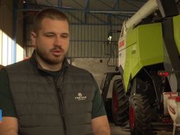 Adelin Vereš iz Lokvi