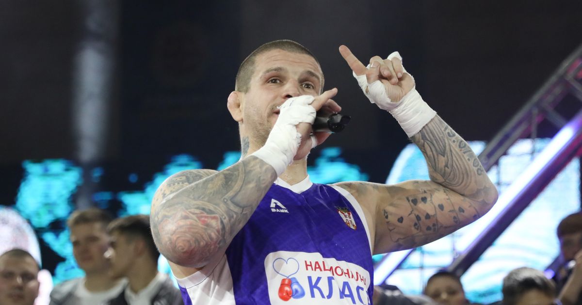 End of boxing event: Vaso Bakočević brutally knocked out Vuk Mob, Marko Džek lost, Princ Banjice also won