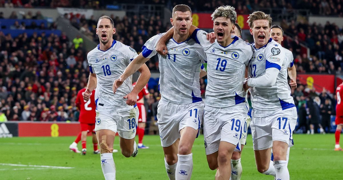 Heroj je Bosne, posle bajke u Kardifu i snova o Svetskom prvenstvu tim iz Bundeslige platio 8.000.000 evra