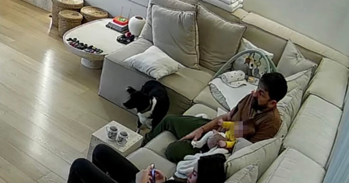 Amidžićeva žena objavila snimak sa sigurnosnih kamera: Uložili 100.000€ u renoviranje, evo šta je zabeležila