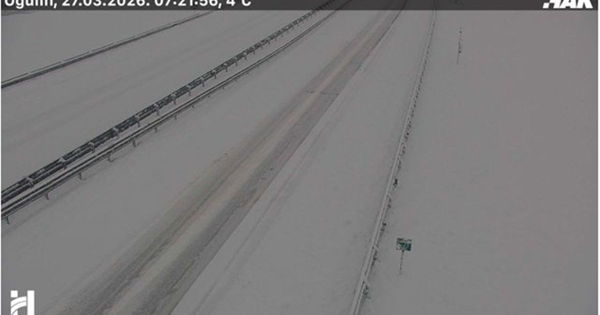 Sneg i kiša paralisali Hrvatsku: Obustavljena nastava u školama, delovi auto-puta zatvoreni, vetar čupa stabla