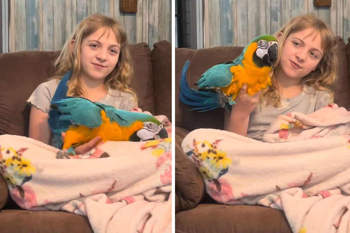 "Ja ću biti vetar ispod tvojih krila": Devojčica svakog dana trči sa papagajem invalidom koji ne može da leti