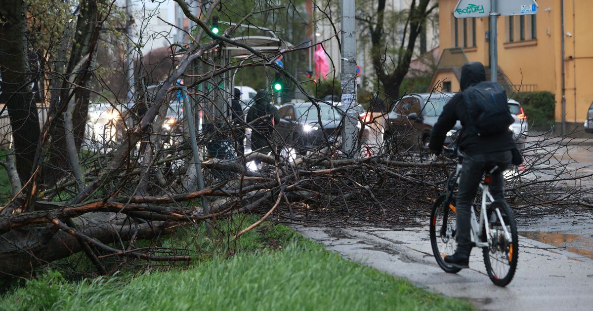 Jak vetar obarao stabla na istoku Slovenije: Najavljene nove oluje na severoistoku