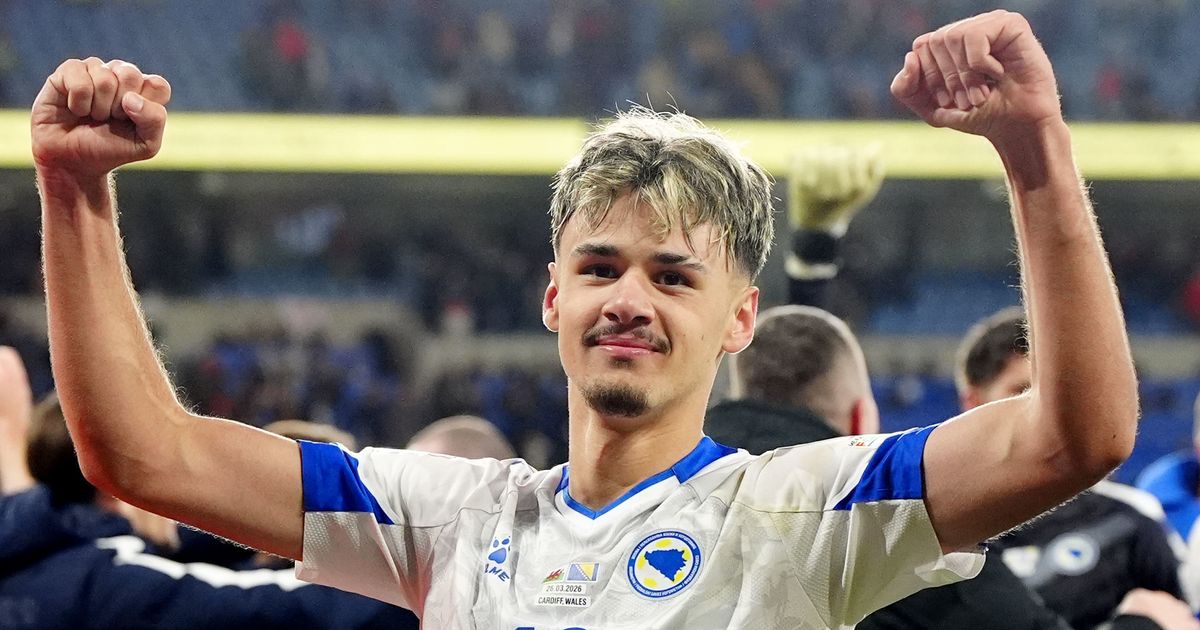 Led Bosnia and Herzegovina to the brink of the World Cup, signed for Leverkusen at 18