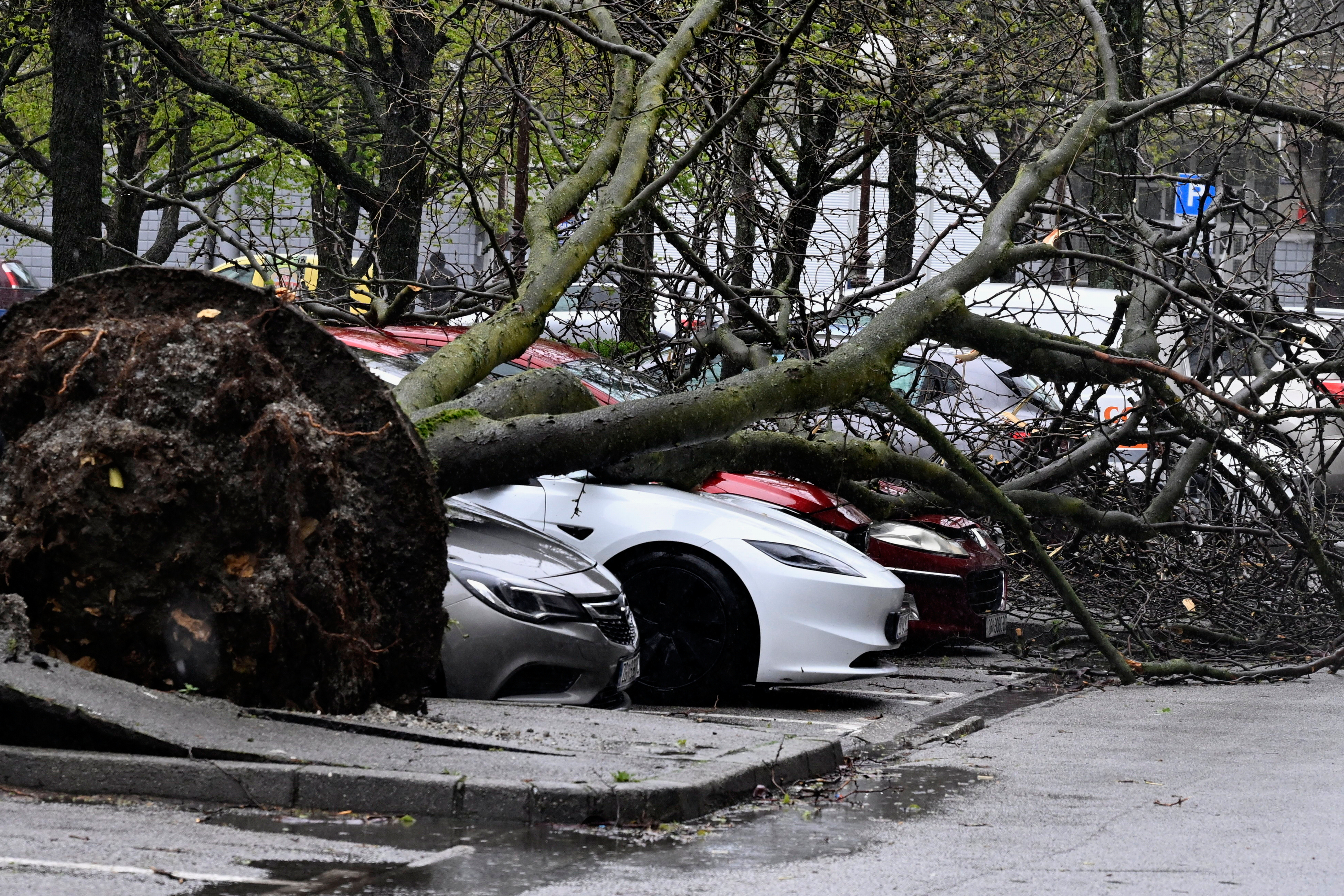 Zagreb ne pamti ovakvu katastrofu: Vetar šiba i do 120km/h, čupa krovove kao od šale, stabla samo padaju