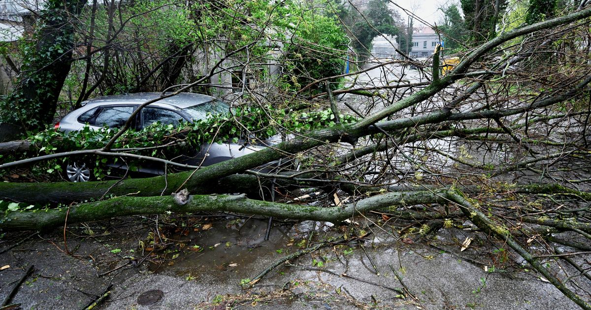 Velika šteta u Zagrebu nakon oluje: Više od 800 intervencija vatrogasaca, neki delovi grada neprepoznatljivi