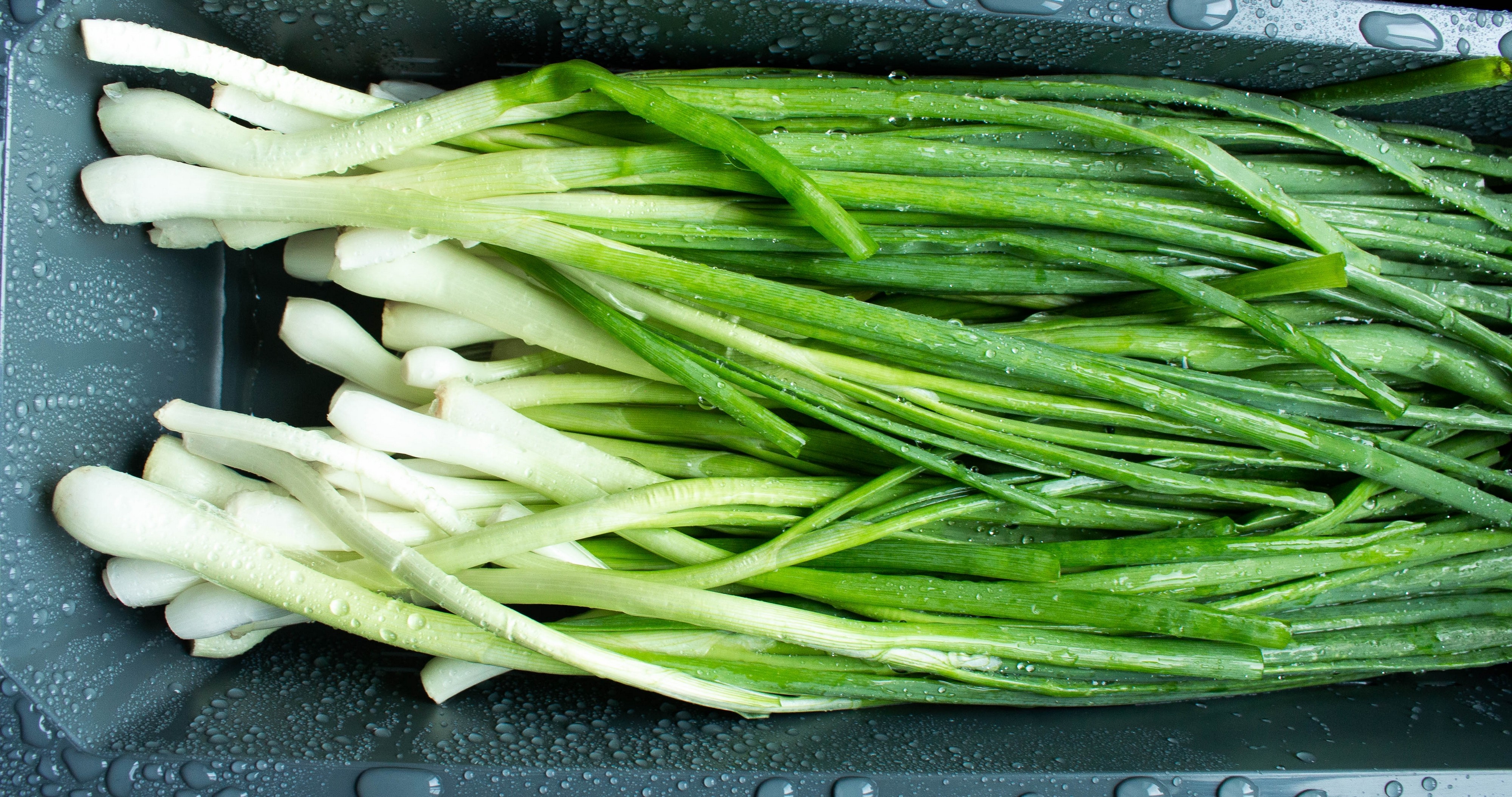 Ne verujte "najlepšem" mladom luku na pijaci: Koren otkriva istinu koju prodavci ne govore