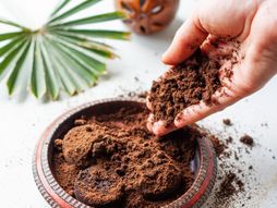 Talog of kafe, soc, kafa