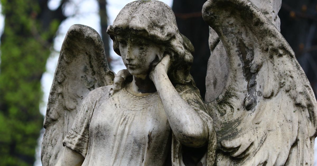 Prolećna sezona obilazaka Novog groblja završava se danas: Poslednja tura u sezoni kreće u 11 h