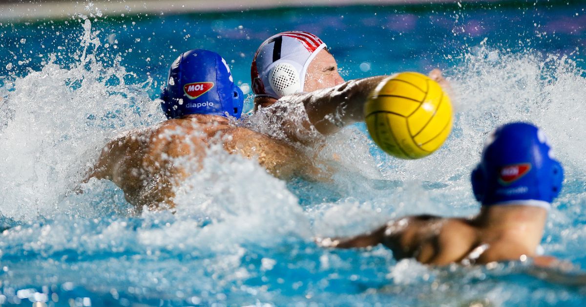 Novi Beograd spreman za novi meč Lige šampiona, igraće u Italiji: 