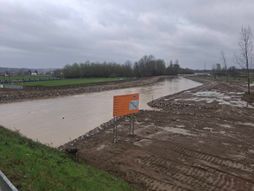 Dalibor Marković Palma