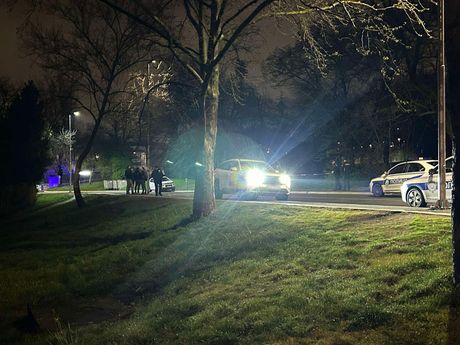 Humska, Izbodena devojka u Humskoj