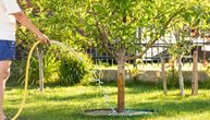 Kako i kada zalivati mlade voćke tokom prve godine: Fatalna greška zbog koje se tek posađena stabla osuše