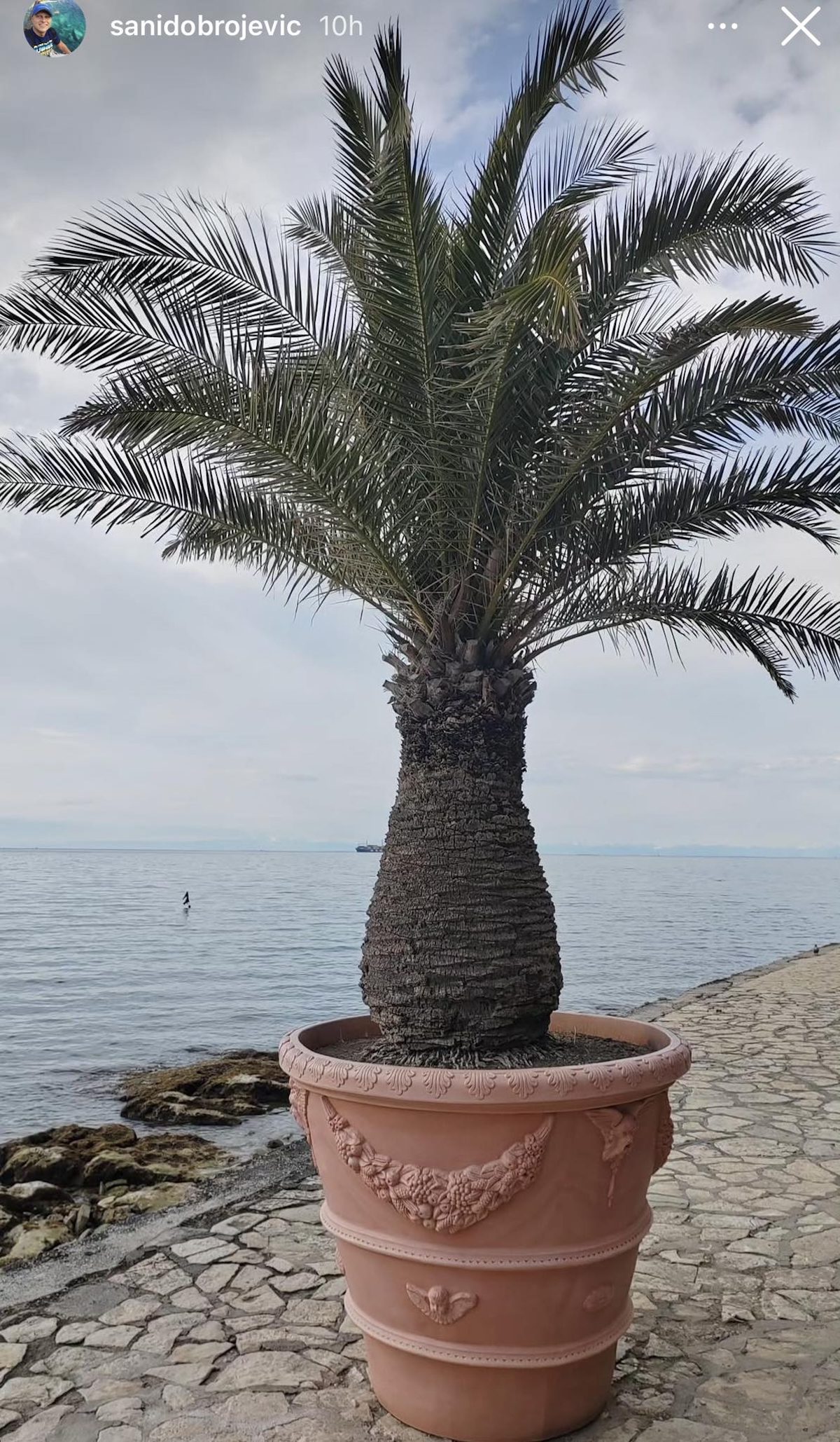 Stanijin brat se oglasio pred njen ulazak u Elitu: Neće je ispratiti u Šimanovce, evo zašto! Njoj nije dobro